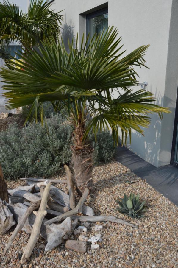 מיקולוב Palm Garden Apartment 1 מראה חיצוני תמונה