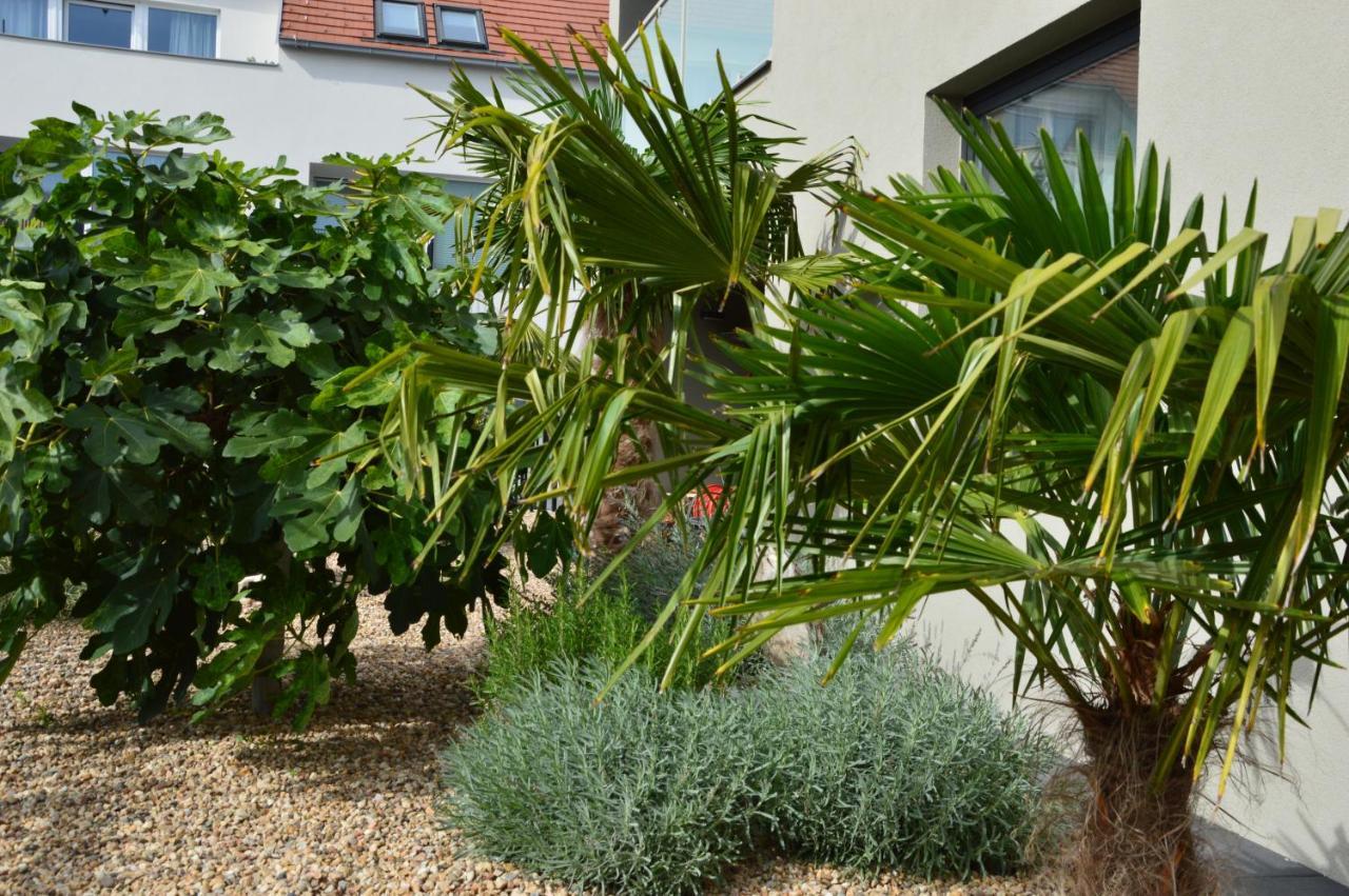 מיקולוב Palm Garden Apartment 1 מראה חיצוני תמונה