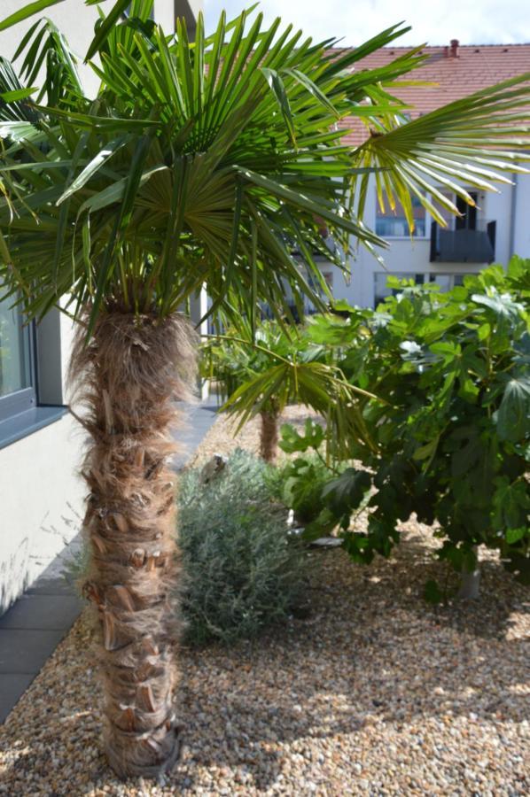 מיקולוב Palm Garden Apartment 1 מראה חיצוני תמונה