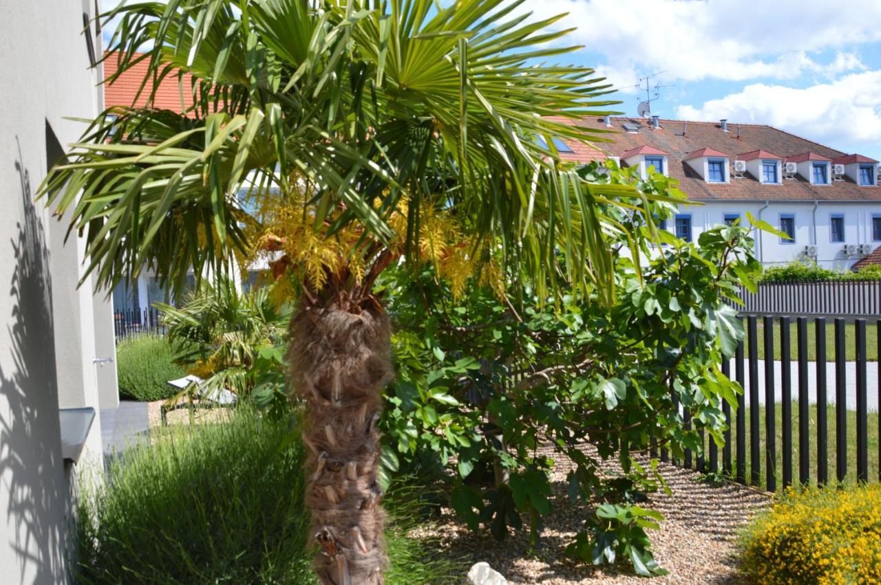 מיקולוב Palm Garden Apartment 1 מראה חיצוני תמונה