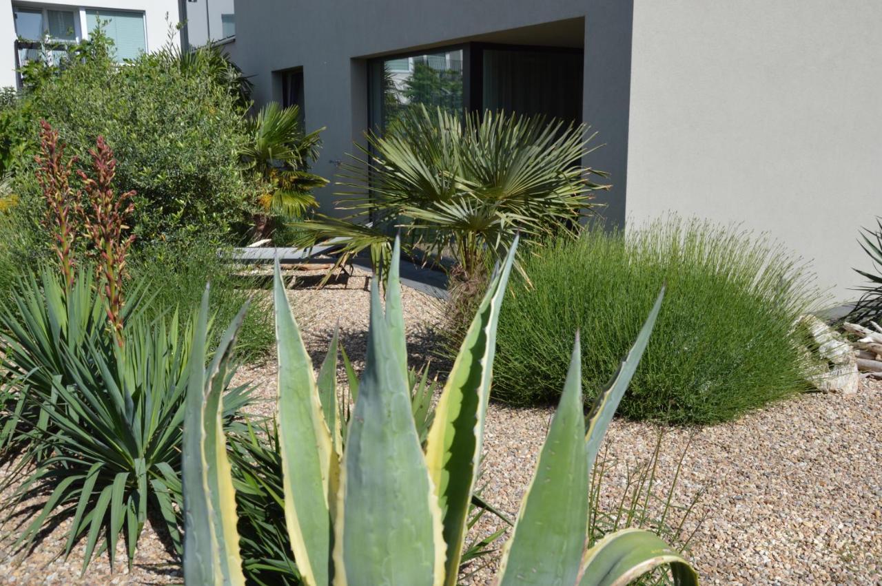 מיקולוב Palm Garden Apartment 1 מראה חיצוני תמונה