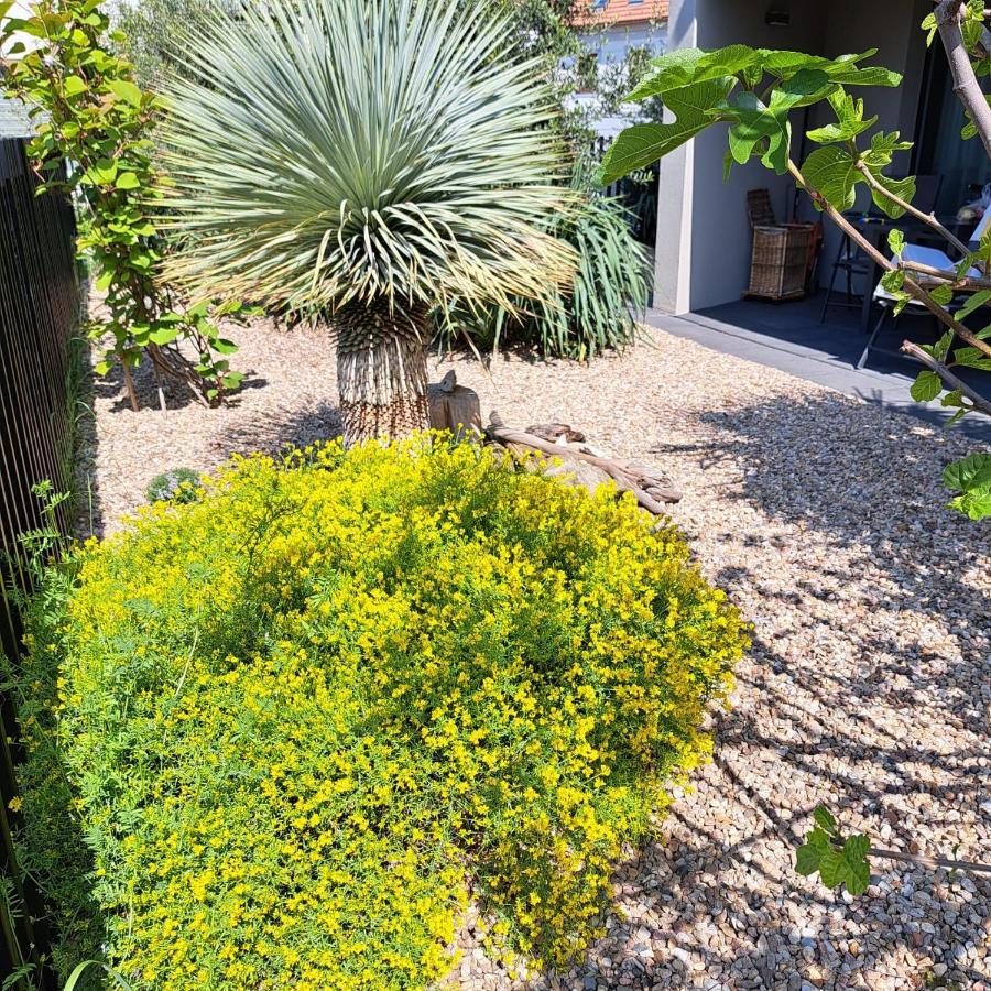 מיקולוב Palm Garden Apartment 1 מראה חיצוני תמונה
