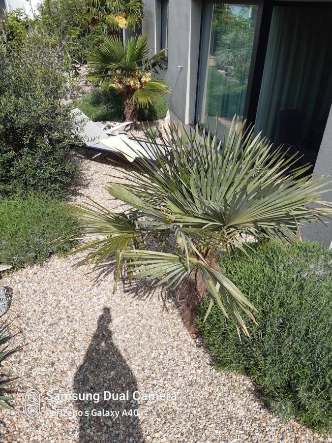 מיקולוב Palm Garden Apartment 1 מראה חיצוני תמונה